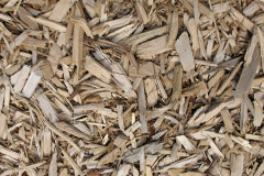 biomass boilers Portinode